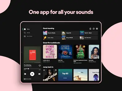 Spotify Music app